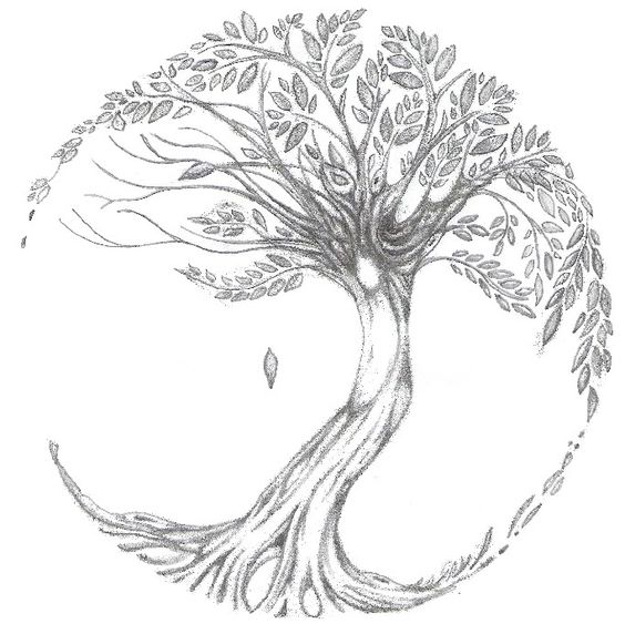 564x572 Tree Of Life Tattoo Stencils And Ideas - Tattoo Sketch Ideas