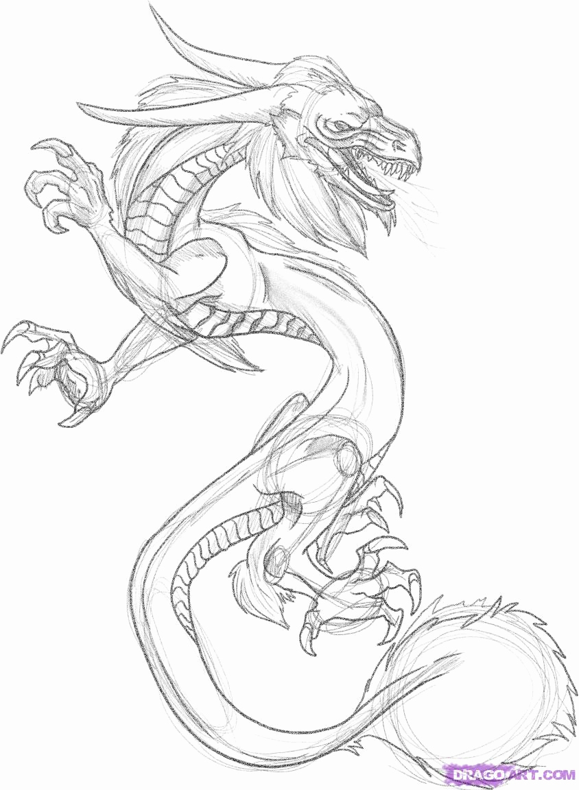 844x1152 Sketch Drawing Online How To Draw A Dragon Tattoo Step By Step - Tattoo Sketch Online