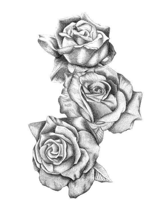 570x740 Pin By Evelin Laaso On Tattoos To Do Rose, Etsy And - Tattoo Sketch Rose