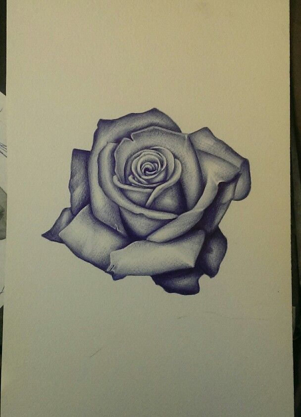 608x844 Realism Rose Sketch. Art, Flower, Tattoo, Drawing, Follow On - Tattoo Sketch Rose