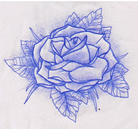 486x454 Red Rose Tattoo Sketch Tattoo Ideas - Tattoo Sketch Rose