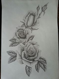 Tattoo Sketch Rose at PaintingValley.com | Explore collection of Tattoo ...