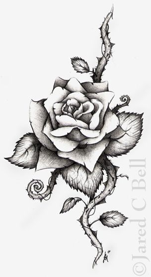 304x556 Rose Tattoo Drawings And Designs Media Art Photography - Tattoo Sketch Rose