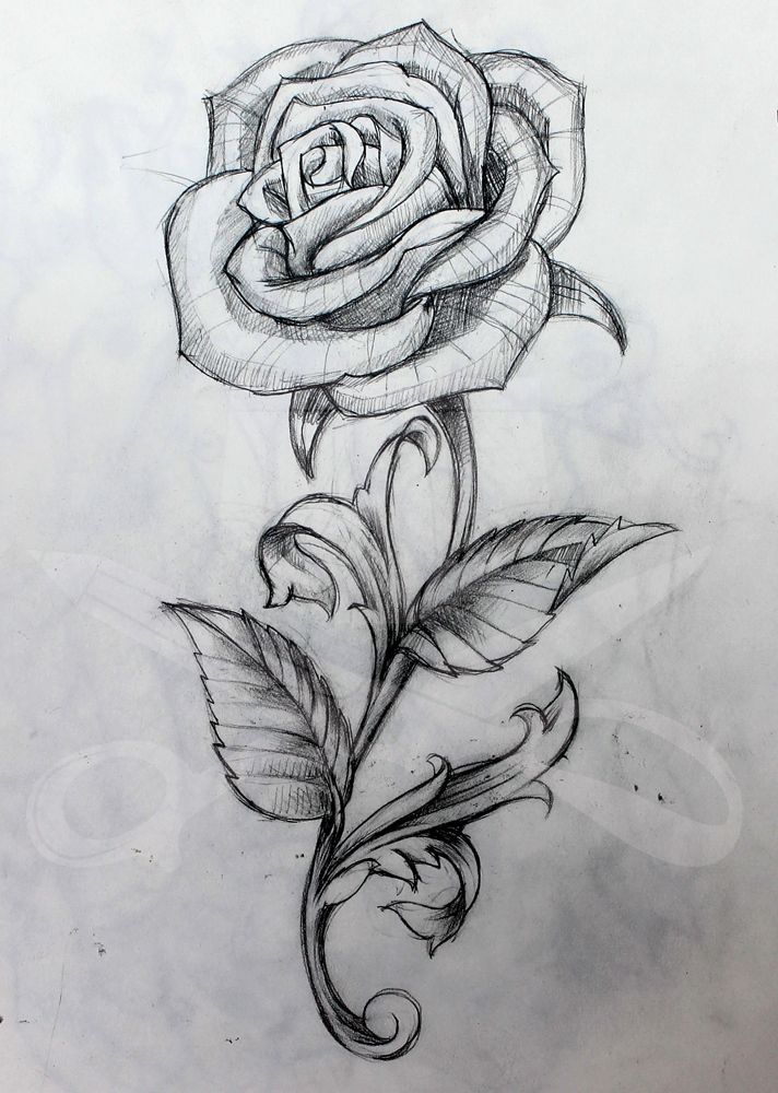 712x1000 Rose And Stem Tattoo Art Tattoos, Rose Tattoos And - Tattoo Sketch Rose