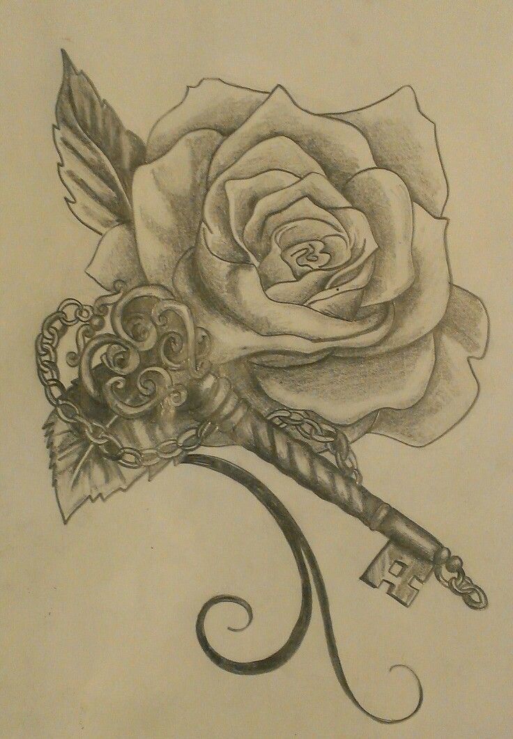 736x1061 Rose Tattoo Drawing Tattoos Rose Tattoos, Tattoo - Tattoo Sketch Rose