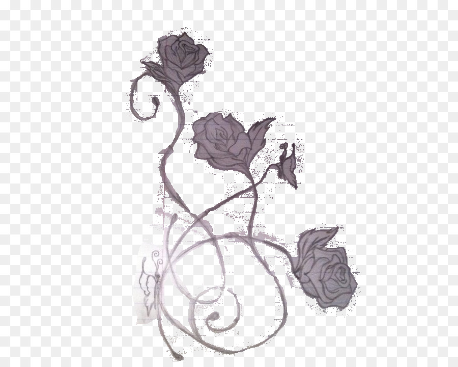 900x720 Garden Roses Tattoo Sketch - Tattoo Sketch Rose