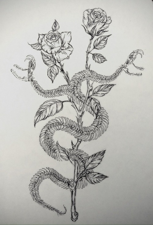 500x738 Collection Of Snake Drawing Tumblr High Quality, Free - Tattoo Sketches Tumblr