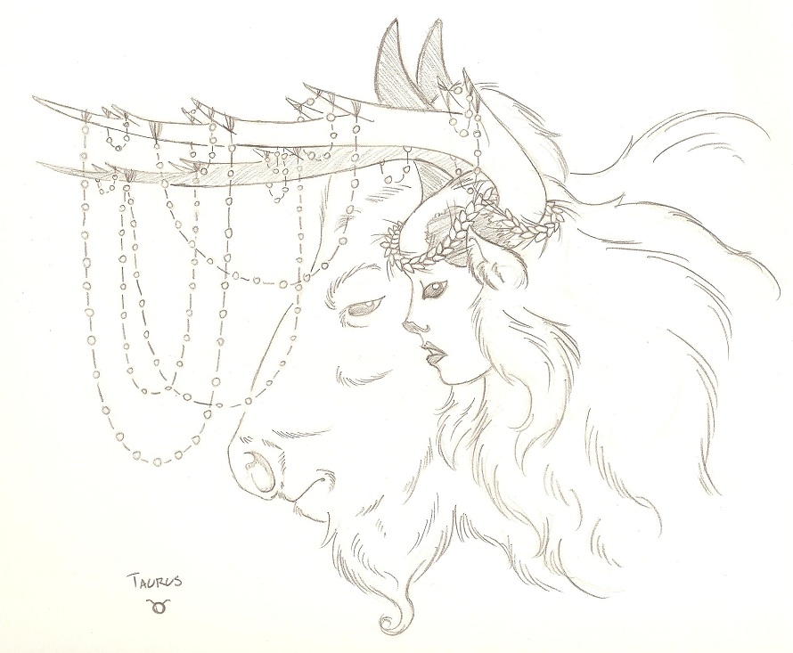 890x733 Once Upon An Artist... Taurus Sketch - Taurus Sketch