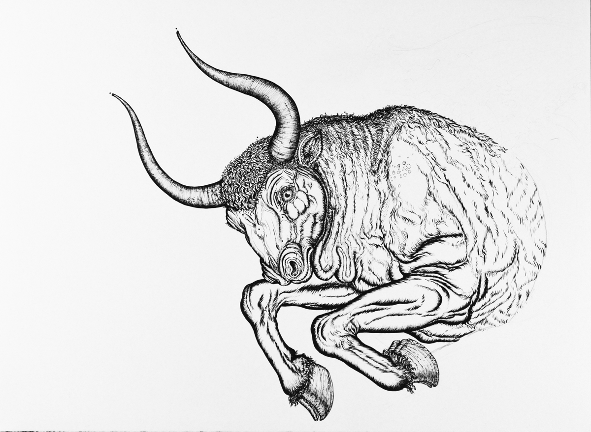 1200x879 Richard D. Serros Taurus Drawing Head And Shoulders - Taurus Sketch