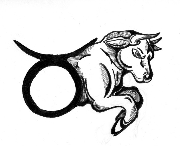 612x499 Taurus Sketch Bull Tattoo - Taurus Sketch