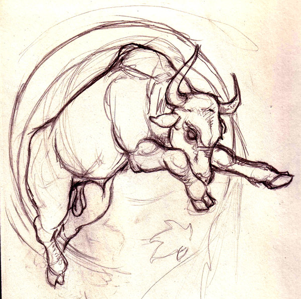 600x596 Zodiac Taurus Bull Tattoo Sketch - Taurus Sketch