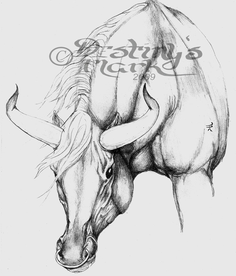 828x965 Equi Taurus Sketch By Destinysmark - Taurus Sketch