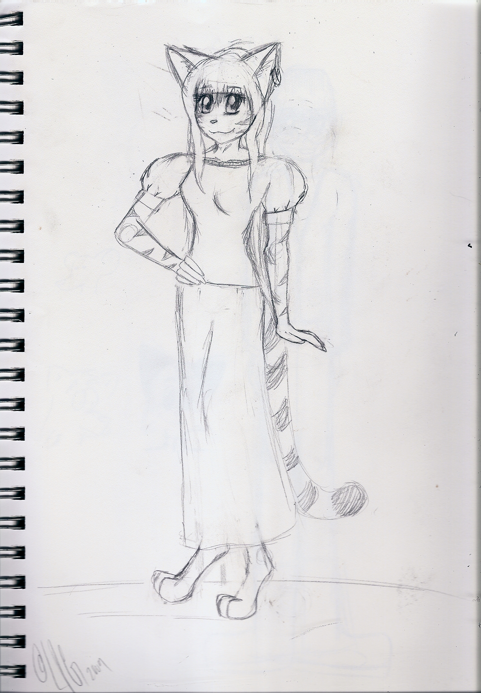 1620x2334 Image - Taz Sketch