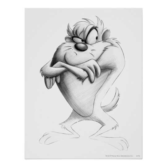 540x540 Drawing Poster - Taz Sketch