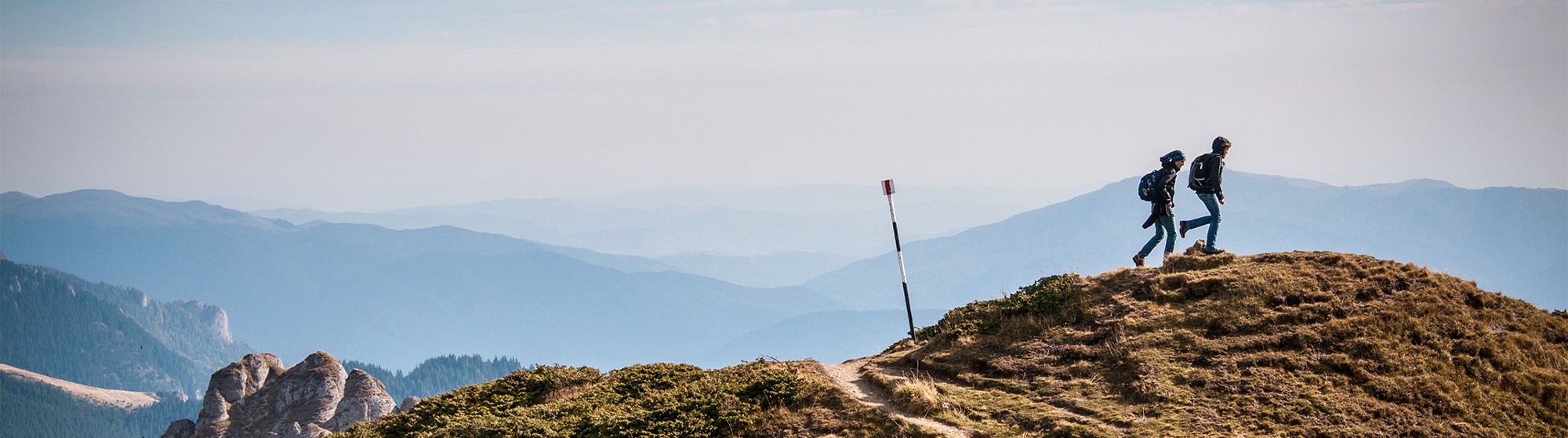 2000x559 The Challenges Of Teamwork In Design Design + Sketch Medium - Teamwork Sketch