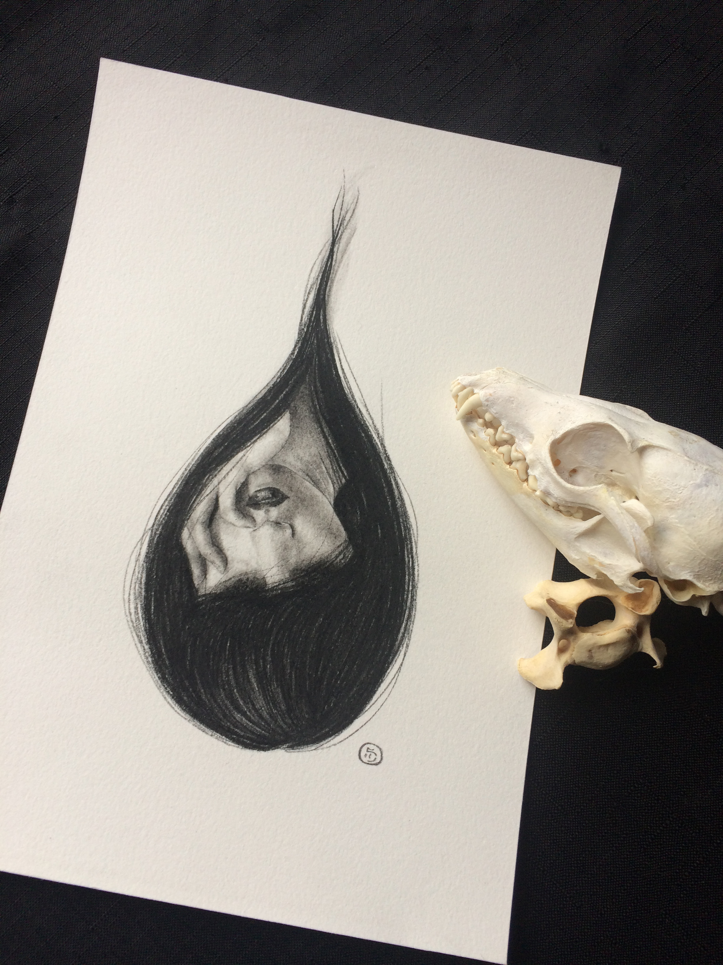 2448x3264 Teardrop - Teardrop Sketch