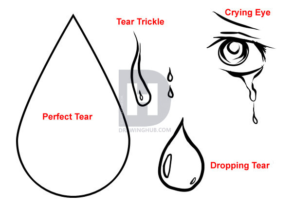 602x429 How To Draw Tears, Step By Step, Drawing Guide, By Darkonator - Tears Sketch