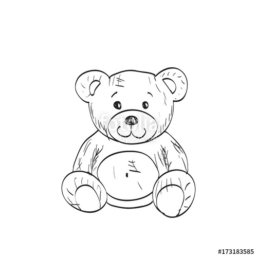 500x500 Teddy Bear Sketch. Drawing On A White Background Stock Image And - Teddy Bear Sketch