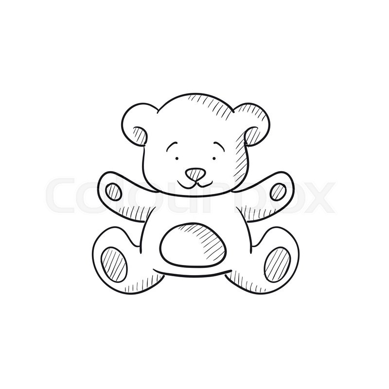 800x800 Teddy Bear Vector Sketch Icon Isolated On Background. Hand Drawn - Teddy Bear Sketch