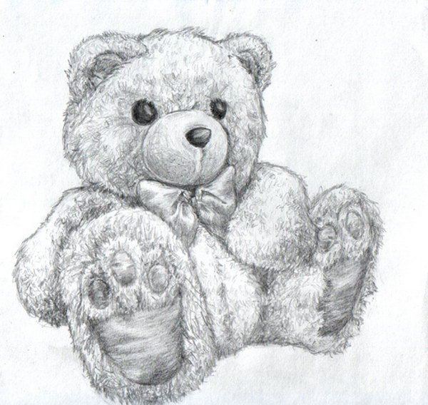 600x568 Pencil Drawings Of Teddy Bears My Favorite Coloring Pages - Teddy Bear Sketch
