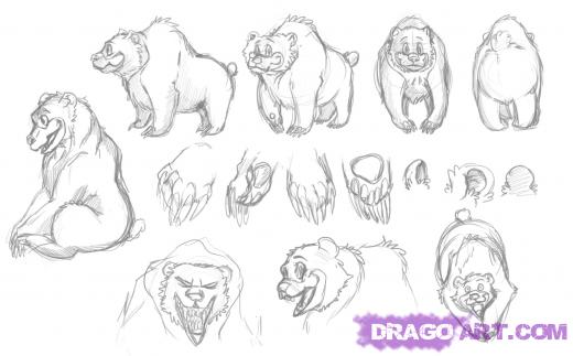 520x323 How To Draw Bears Drawing Tutorials Amp Drawing Amp How To Draw - Teddy Bear Sketch Step By Step