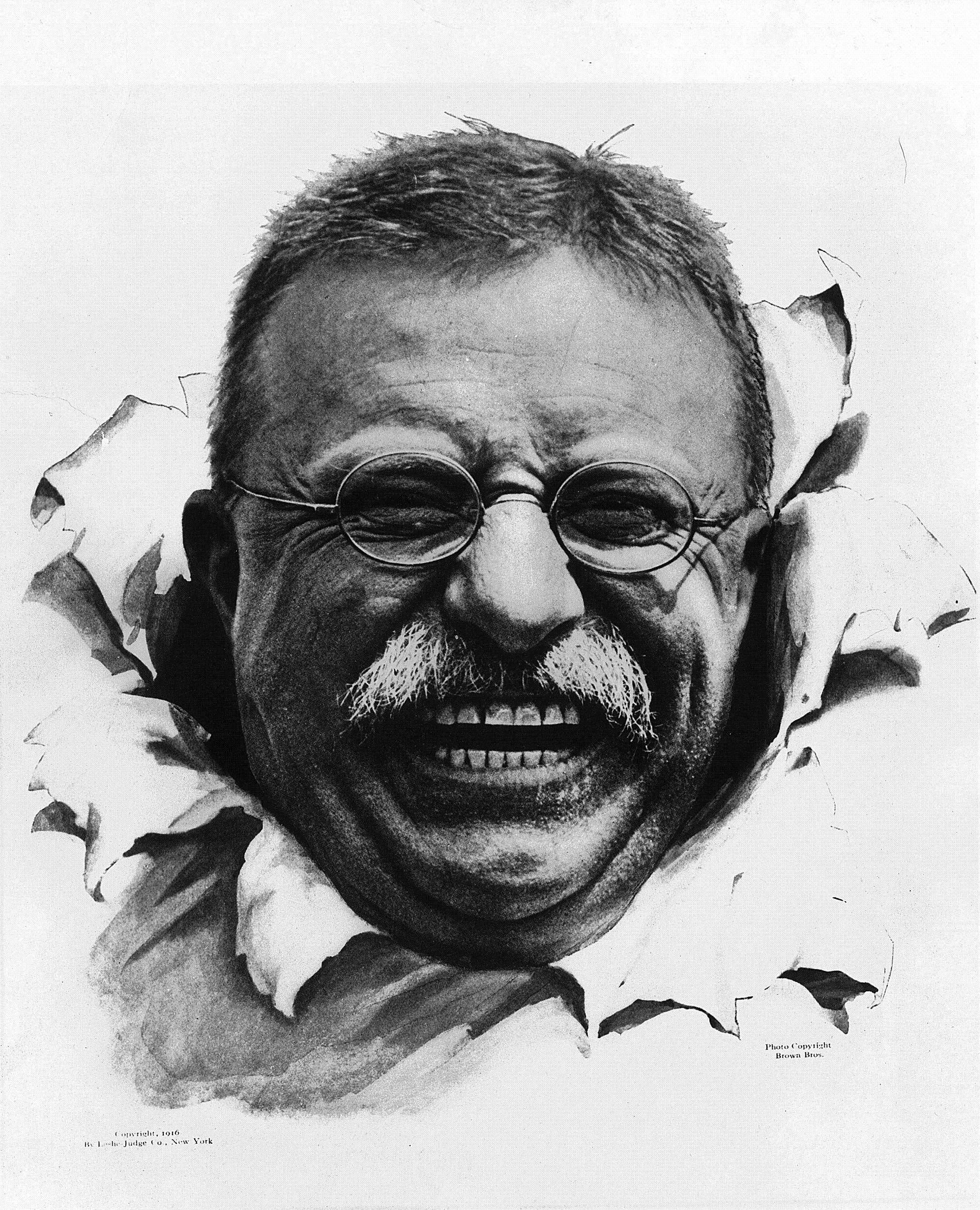 2027x2500 The Teddy Bear Truth Unraveled - Teddy Roosevelt Sketch