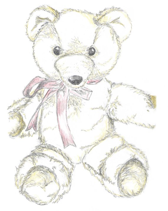 570x713 Teddy Nursery Art Illustration Print Teddy Bear Sketch Hand Etsy - Teddy Sketch