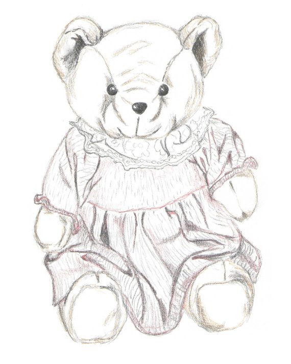 570x713 Teddy Nursery Art Original Drawing Print Teddy Sketch Hand Etsy - Teddy Sketch