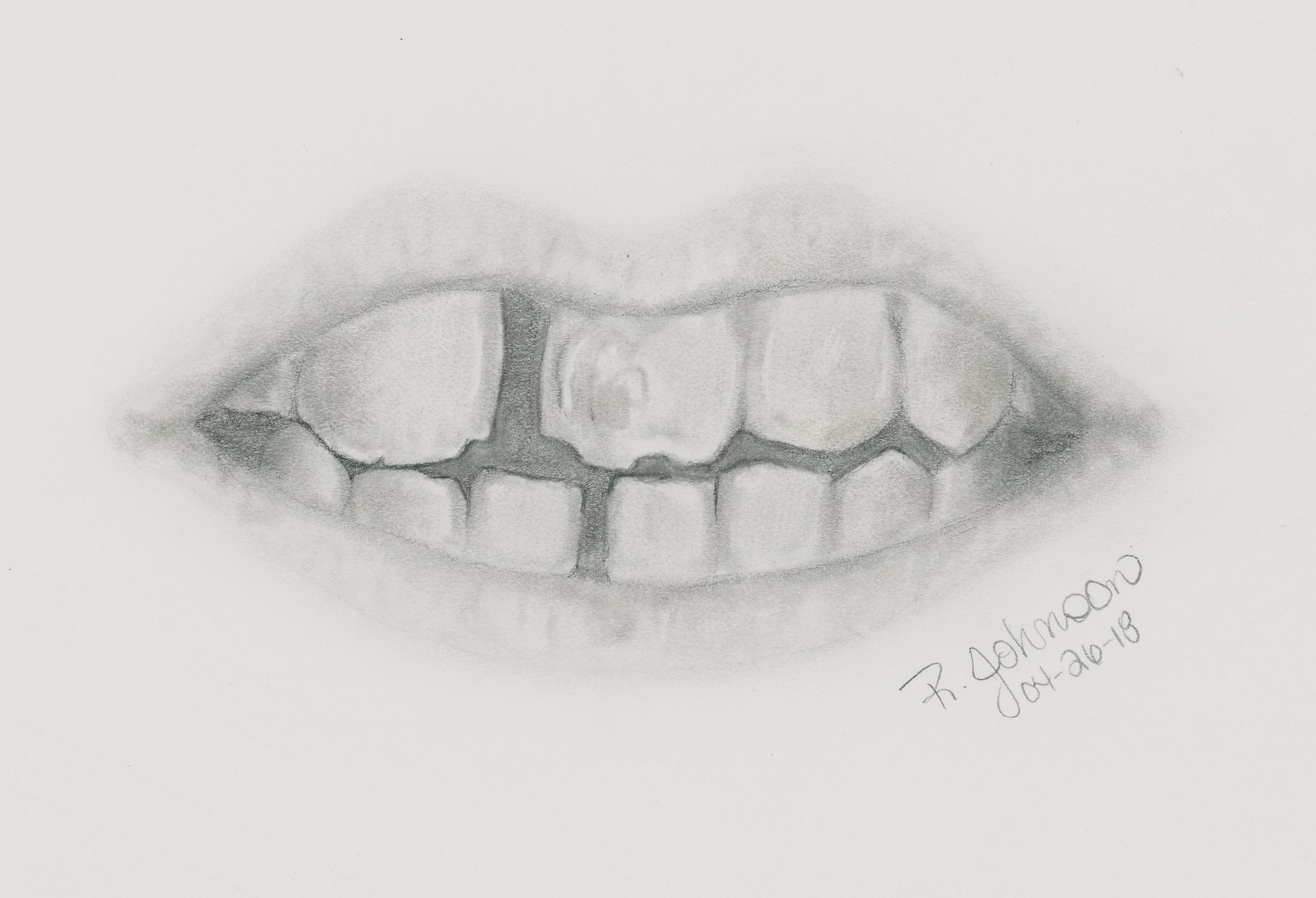2010x1371 Sketch Of Teeth Of Woman Found In Delta River Released - Teeth Sketch
