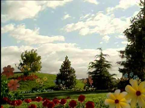 480x360 Teletubbies - Teletubbies Sketch