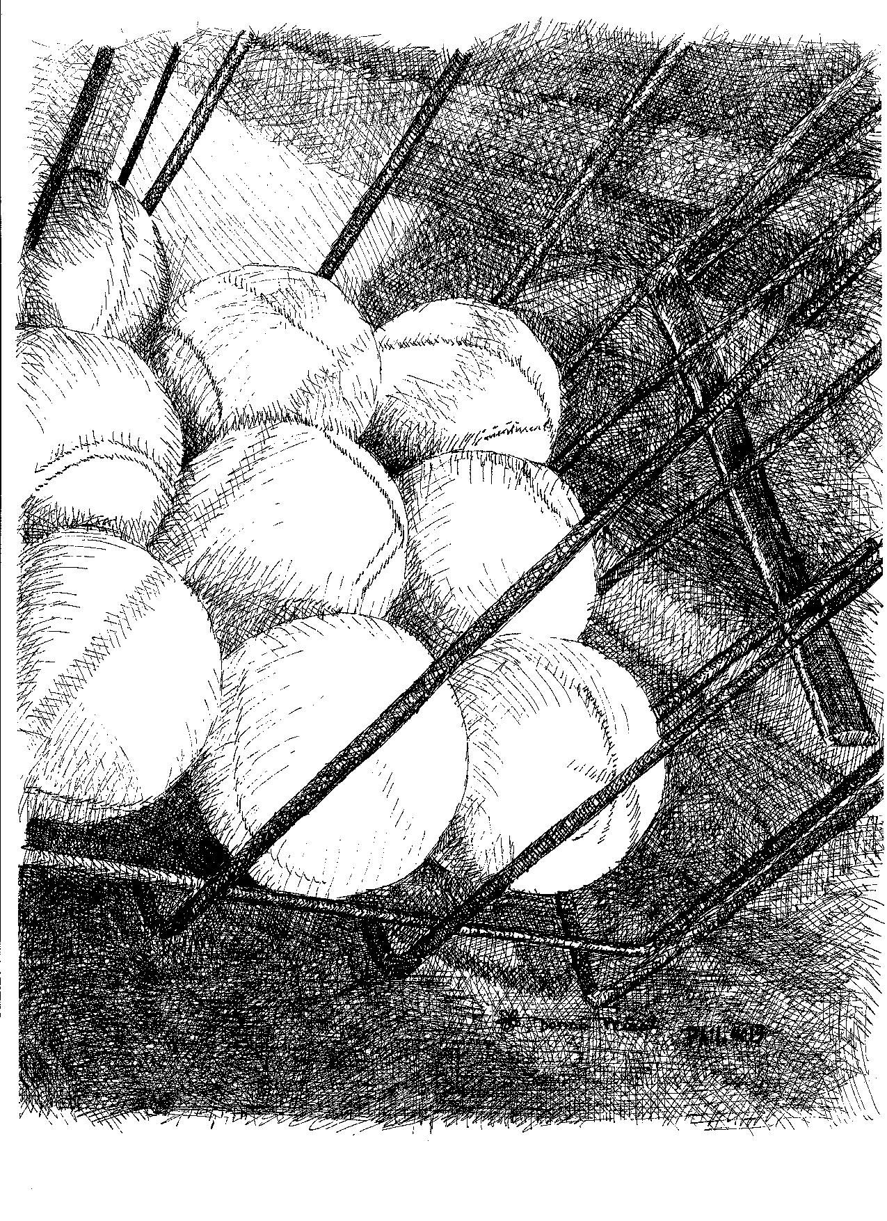 1275x1755 Tennis Ball Cage Sketches Sketches - Tennis Ball Sketch