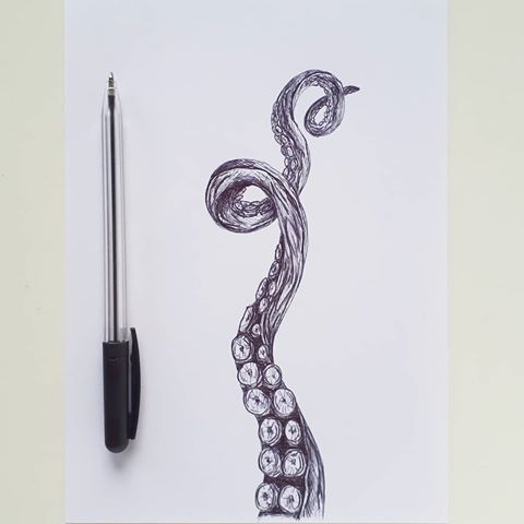 480x480 Images About - Tentacle Sketch