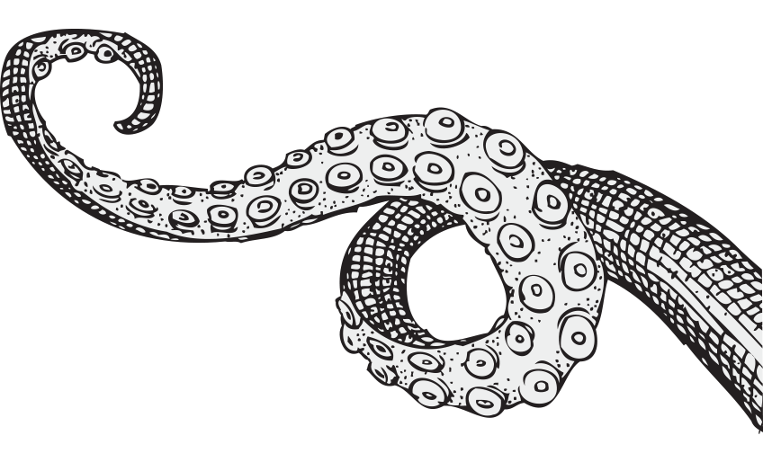 848x514 Collection Of Free Tentacle Drawing. Download On Ubisafe - Tentacle Sketch