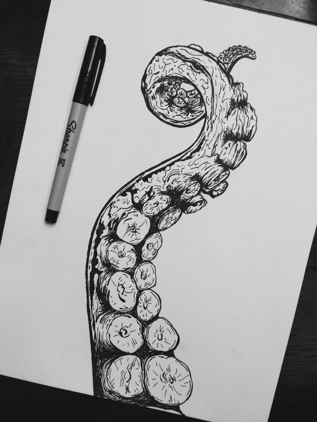 640x853 Octopus Tentacle Drawing Arte Drawings, Art And - Tentacle Sketch