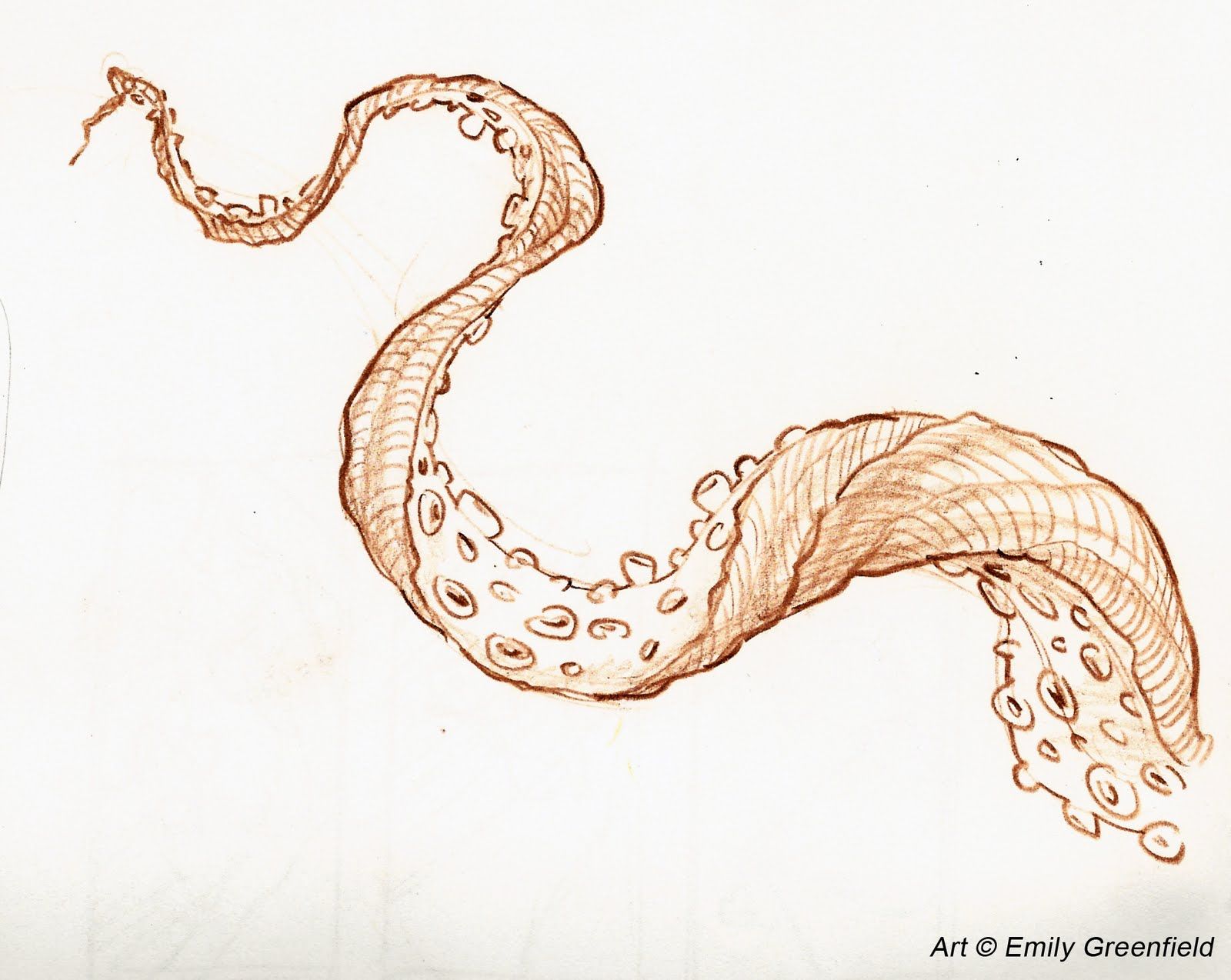 1600x1274 Pin By Pencilsubway Art On Tentacles Awesome - Tentacle Sketch