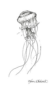 180x300 Tentacle Drawings Fine Art America - Tentacle Sketch