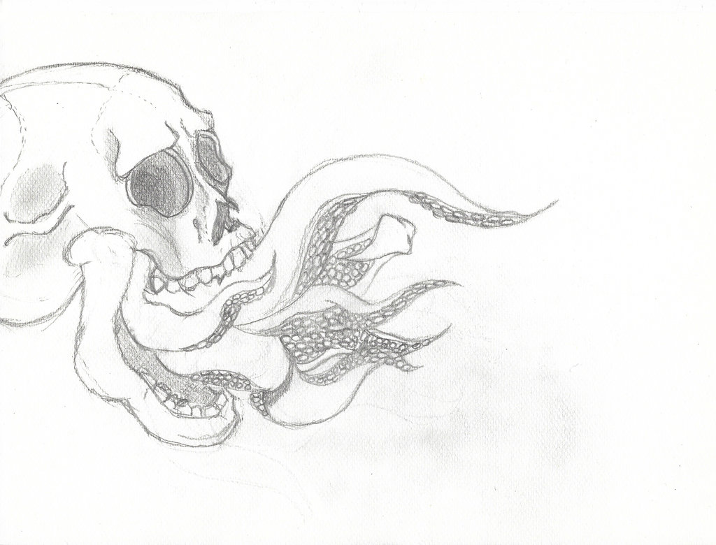 1024x780 Tentacle Skull Sketch 30 11 17 By Sacerludum - Tentacle Sketch