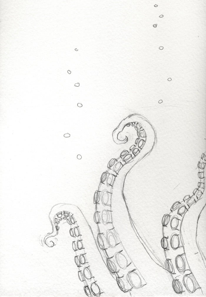 700x1010 Tentacle Map! Emily Garfield Art - Tentacle Sketch