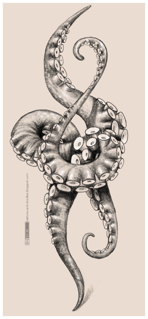 510x1100 This Is Cool. I Want An Octopus Tattoo Mainly For The Design Of - Tentacle Sketch