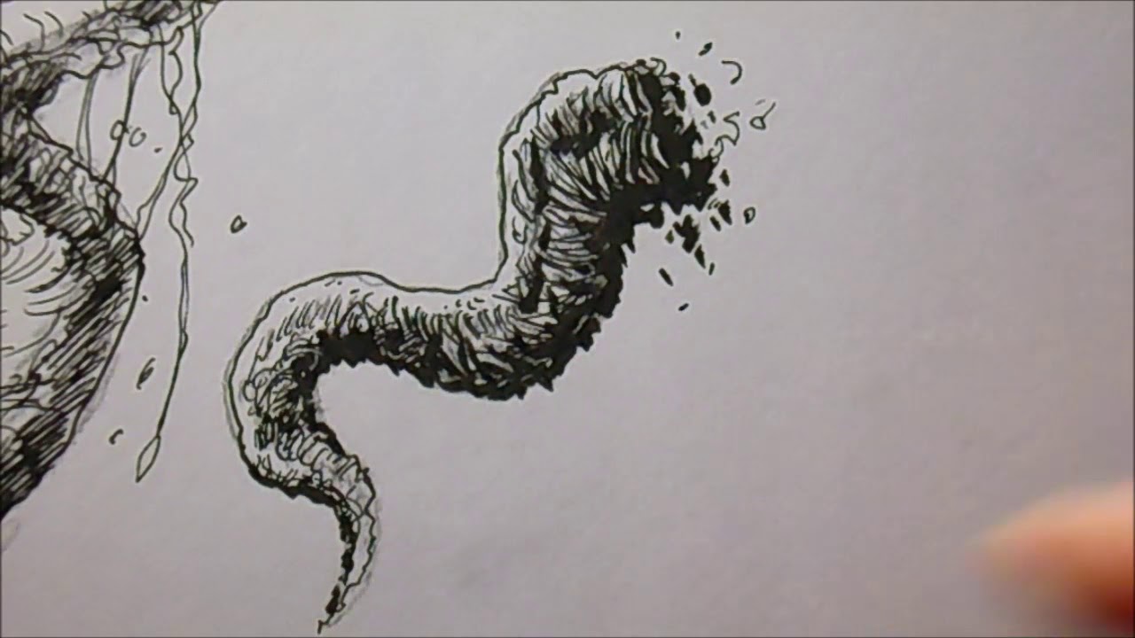 1280x720 How To Draw Monster Tentacles - Tentacle Sketch