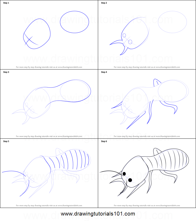 751x846 How To Draw A Termite Printable Step By Step Drawing Sheet - Termite Sketch