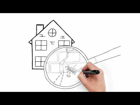 480x360 Patton Termite And Pest Control Services Wichita Kansas - Termite Sketch