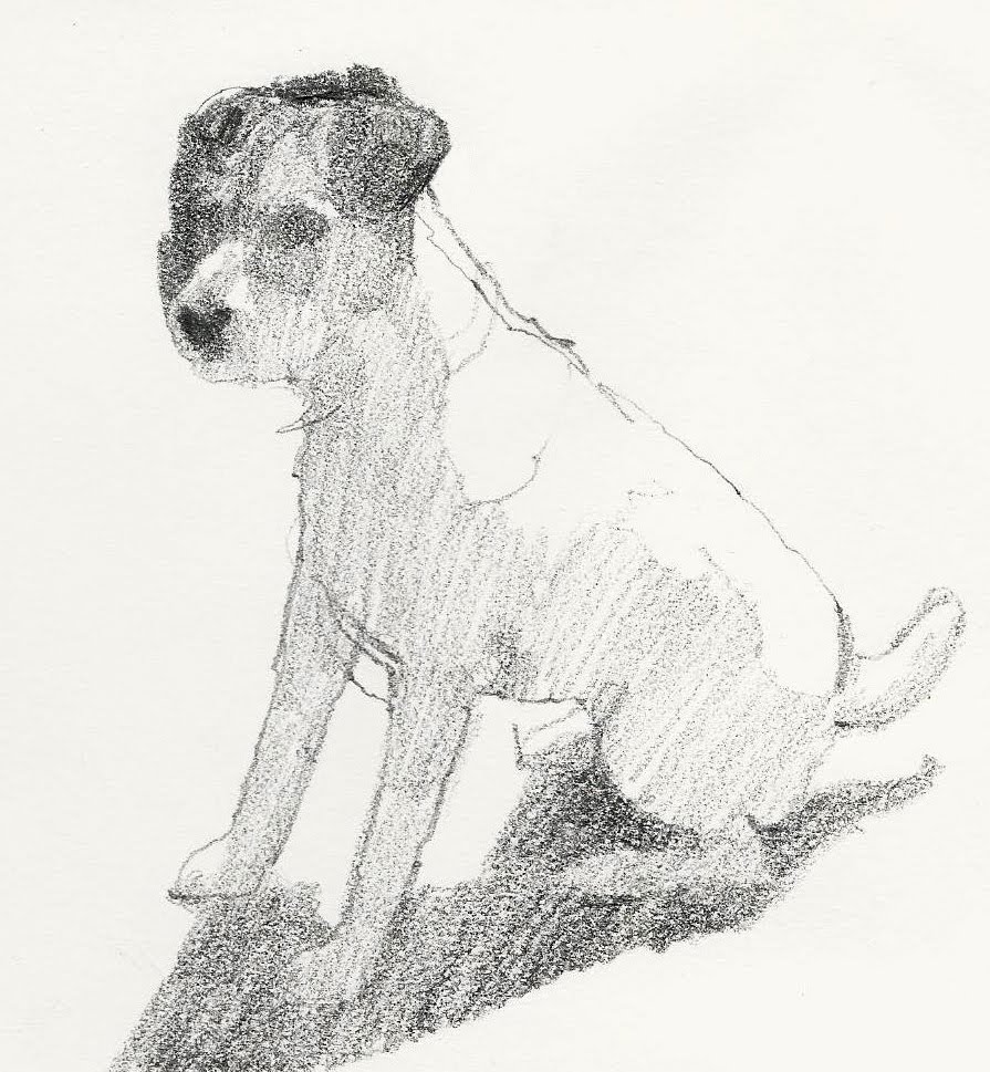 895x969 How To Draw A Terrier - Terrier Sketch