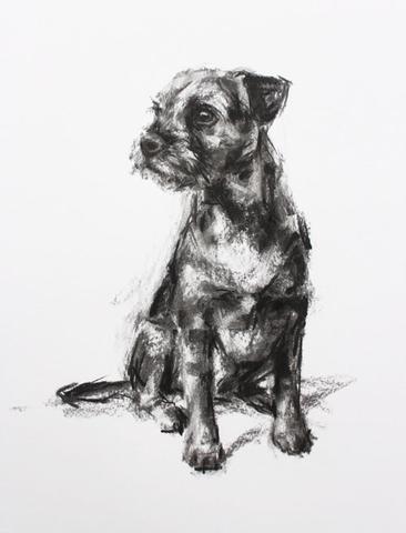 366x480 Paintmydog Dog Art Contemporary Dog Portraits - Terrier Sketch