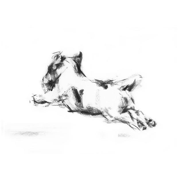 624x624 Running Terrier Sketch Print - Terrier Sketch