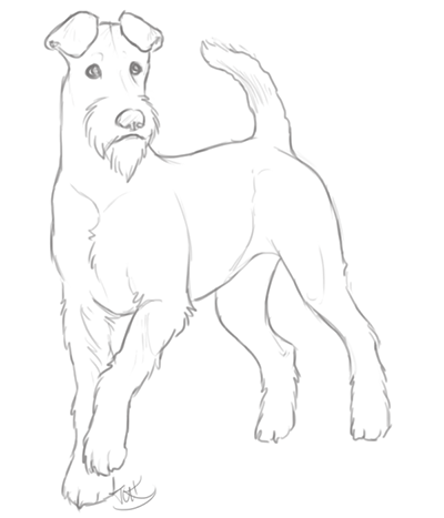 400x467 Sketch Practice - Terrier Sketch
