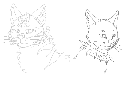 426x285 Realistic Tigerstar And Scourge Test (Sketch) Weasyl - Test Sketch