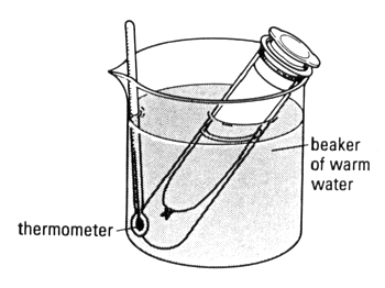 350x262 Investigating The Effect Of Amylase On A Starchy Foodstuff - Test Tube Holder Sketch