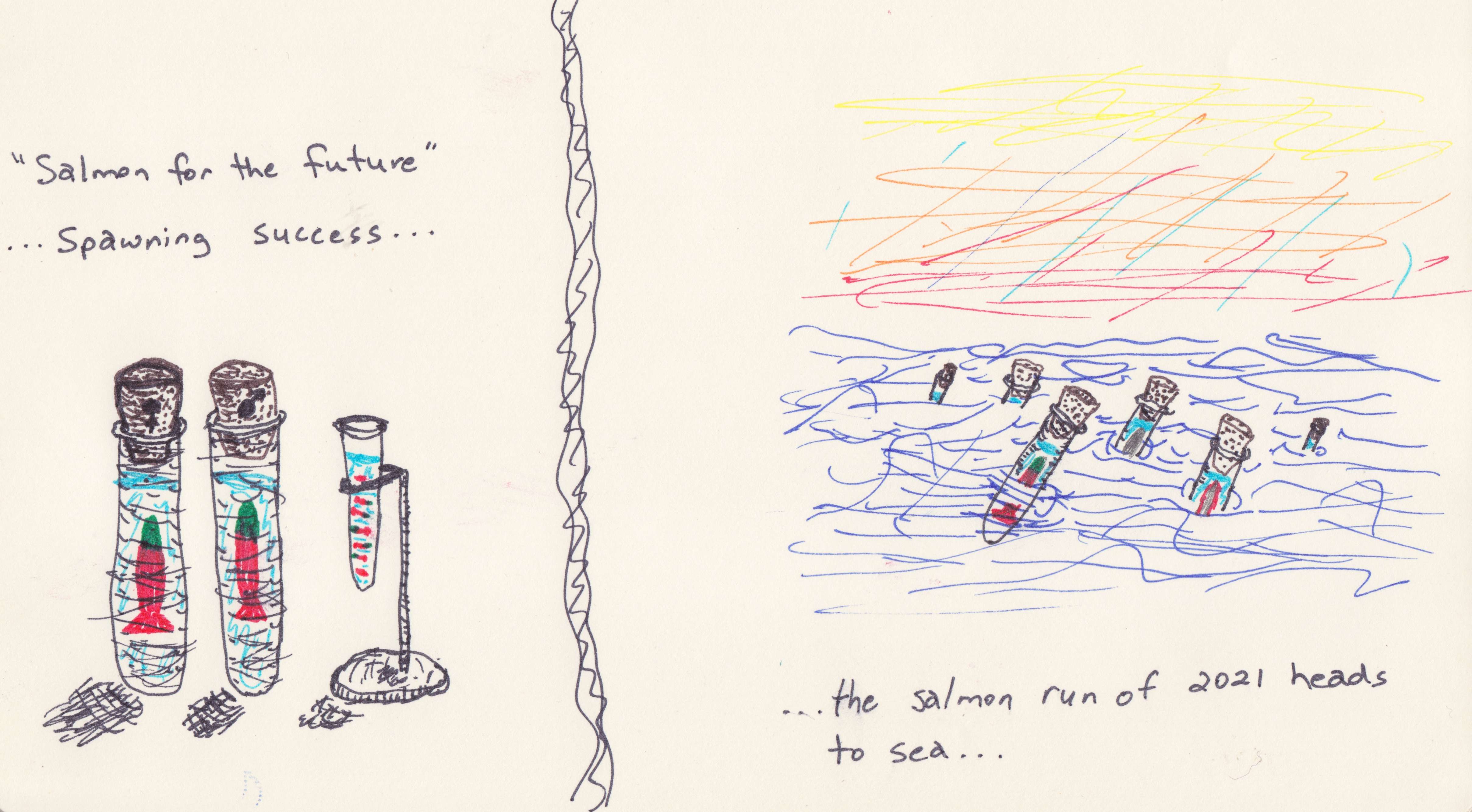 4833x2666 Salmon For The Future Test Tube Babies More Interventionist - Test Tube Sketch