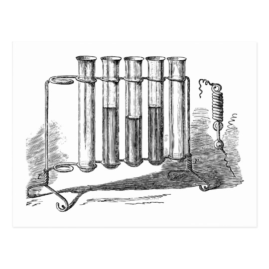 540x540 Vintage Test Tubes Chemistry Lab Postcard - Test Tube Sketch